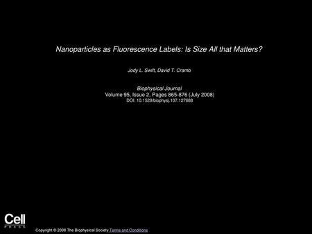 Nanoparticles as Fluorescence Labels: Is Size All that Matters?