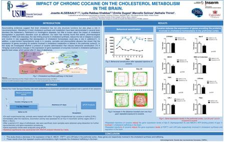Impact of chronic cocaine on the cholesterol metabolism in the brain.