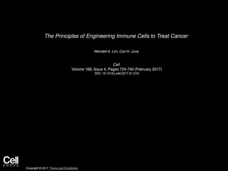 The Principles of Engineering Immune Cells to Treat Cancer