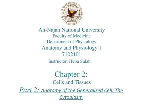 Chapter 2: Part 2: Anatomy of the Generalized Cell: The Cytoplasm