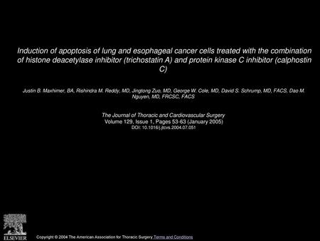 Induction of apoptosis of lung and esophageal cancer cells treated with the combination of histone deacetylase inhibitor (trichostatin A) and protein.