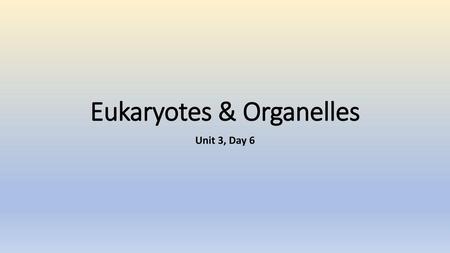 Eukaryotes & Organelles