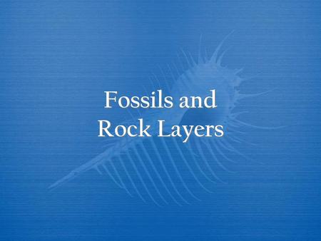 Fossils and Rock Layers