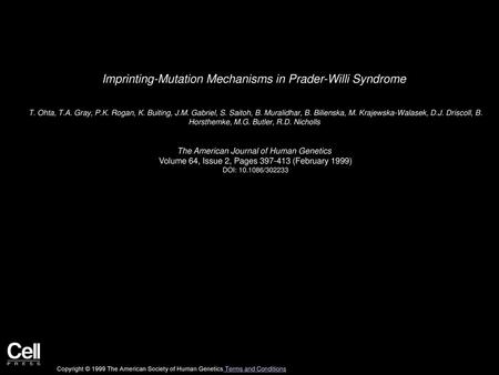 Imprinting-Mutation Mechanisms in Prader-Willi Syndrome
