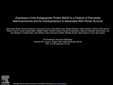 Expression of the Antiapoptotic Protein BAG3 Is a Feature of Pancreatic Adenocarcinoma and Its Overexpression Is Associated With Poorer Survival  Alessandra.