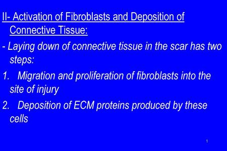 II- Activation of Fibroblasts and Deposition of Connective Tissue: - Laying down of connective tissue in the scar has two steps: 1. Migration and proliferation.