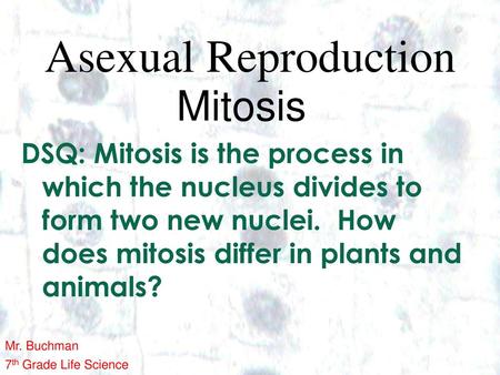Asexual Reproduction Mitosis