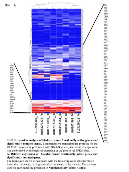 SI-II	A SI-II. Expression analysis of bladder cancer functionally active genes and significantly mutated genes. Comprehensive transcriptome profiling of.