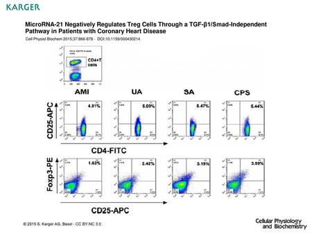 MicroRNA-21 Negatively Regulates Treg Cells Through a TGF-β1/Smad-Independent Pathway in Patients with Coronary Heart Disease Cell Physiol Biochem 2015;37:866-878.