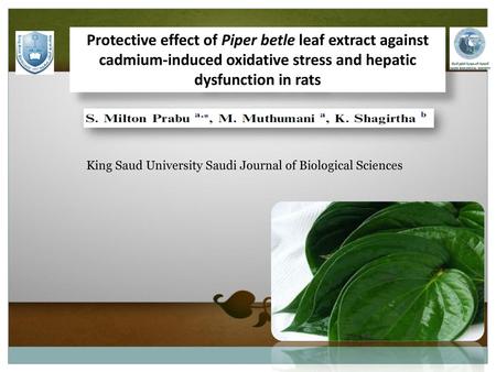 Protective effect of Piper betle leaf extract against cadmium-induced oxidative stress and hepatic dysfunction in rats King Saud University Saudi Journal.