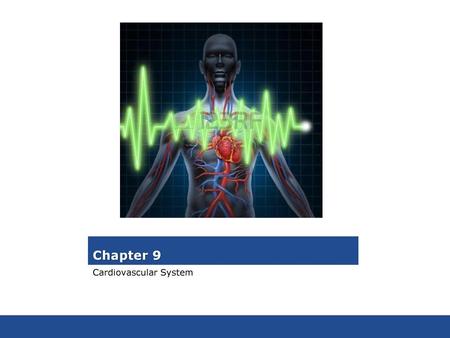 Chapter 9 Cardiovascular System.