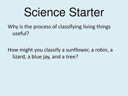 Science Starter Why is the process of classifying living things useful? How might you classify a sunflower, a robin, a lizard, a blue jay, and a tree?