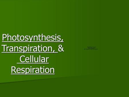 Photosynthesis, Transpiration, & Cellular Respiration