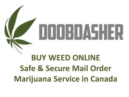 Buy medical marijuana online from doobdasher in Canada