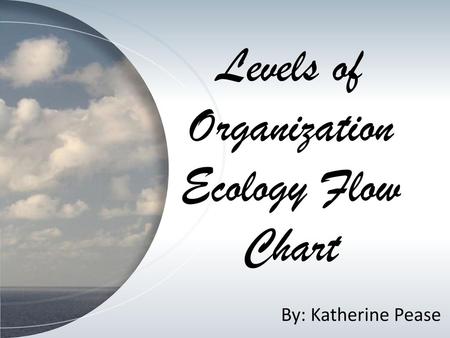 Levels of Organization Ecology Flow