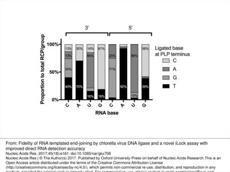 Figure 2. Effects of 3′ and 5′ base mismatches on RNA templated DNA end-joining fidelity of PBCV-1 DNA ligase. For each PLP group, the contribution of.
