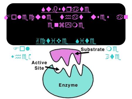 Molecule that uses an enzyme