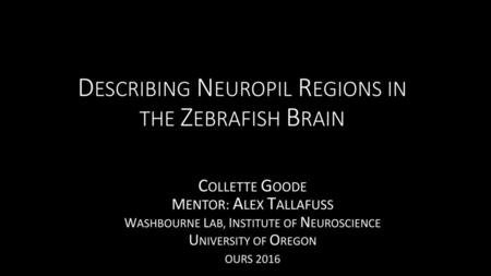 DESCRIBING NEUROPIL REGIONS IN THE ZEBRAFISH BRAIN