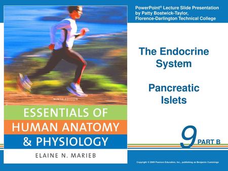The Endocrine System Pancreatic Islets