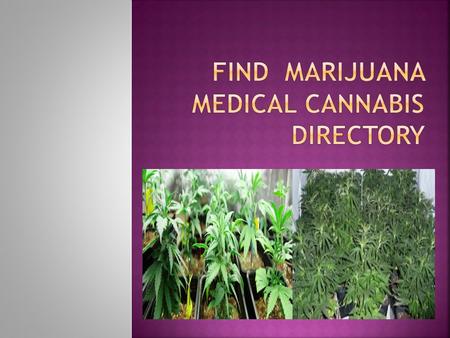Medical cannabis doctors are certified by each respective state that allows medical marijuana to approve the medical cannabis commendation that is also.