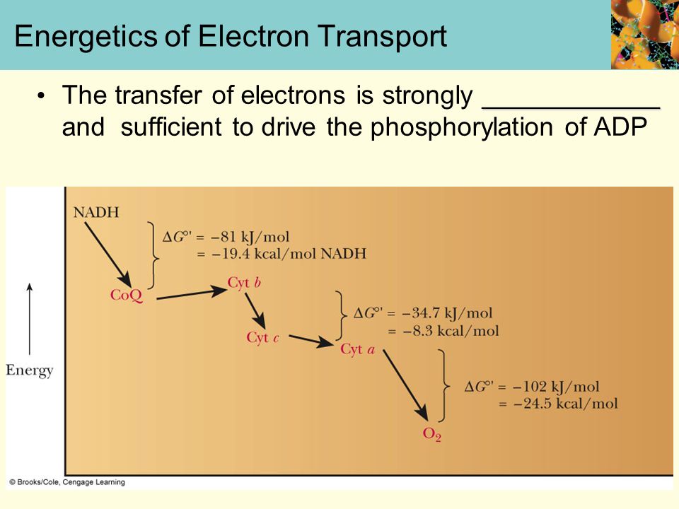 download ionic solution theory based