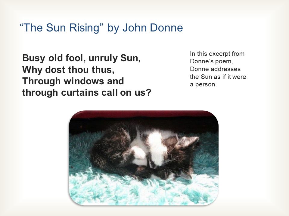 the sun rising john donne literary devices