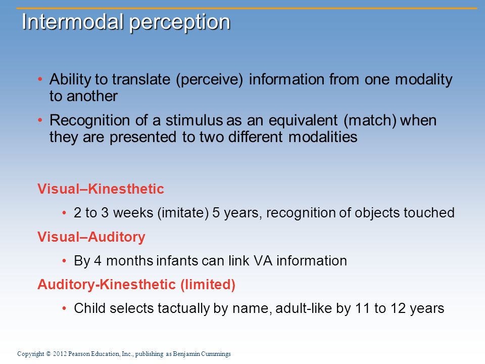 intermodal perception definition magdalene project org intermodal perception definition