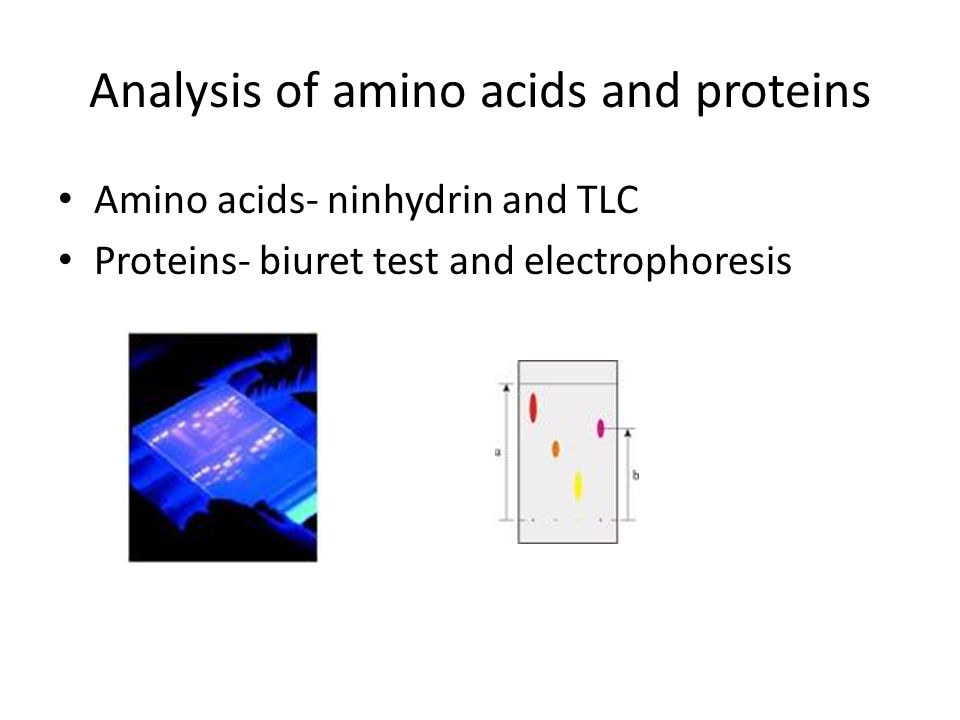 Analysis Of Proteins 115