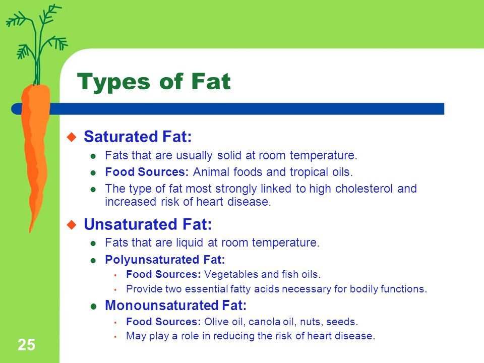 Types Of Saturated Fat 112