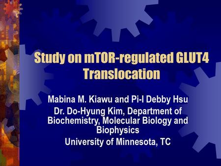 Study on mTOR-regulated GLUT4 Translocation
