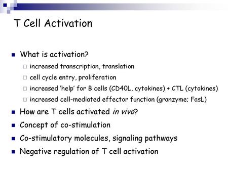 T Cell Activation What is activation?