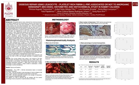 119 OSSEOUS REPAIR USING LEUKOCYTE – PLATELET RICH FIBRIN (L-PRF) ASSOCIATED OR NOT TO ANORGANIC XENOGRAFT (BIO-OSS®). HISTOMETRIC AND HISTOCHEMICAL STUDY.