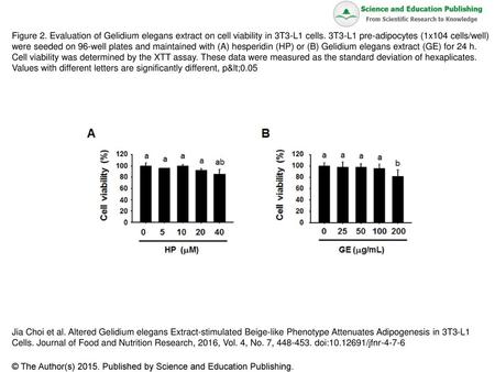 Figure 2. Evaluation of Gelidium elegans extract on cell viability in 3T3-L1 cells. 3T3-L1 pre-adipocytes (1x104 cells/well) were seeded on 96-well plates.