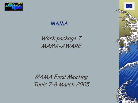 Work package 7 MAMA-AWARE MAMA Final Meeting Tunis 7-8 March 2005