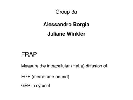 FRAP Group 3a Alessandro Borgia Juliane Winkler