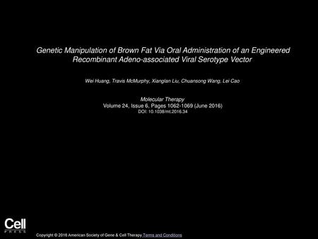 Genetic Manipulation of Brown Fat Via Oral Administration of an Engineered Recombinant Adeno-associated Viral Serotype Vector  Wei Huang, Travis McMurphy,