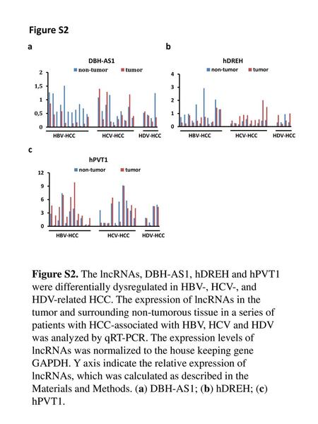 Figure S2 a b DBH-AS1 hDREH HBV-HCC HCV-HCC HDV-HCC HBV-HCC HCV-HCC