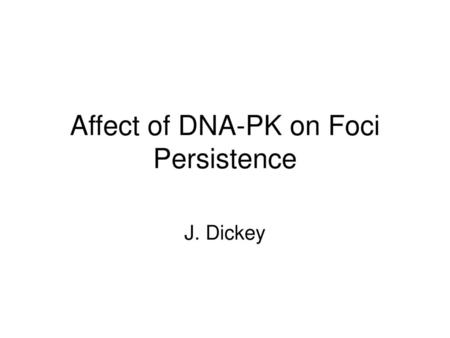 Affect of DNA-PK on Foci Persistence
