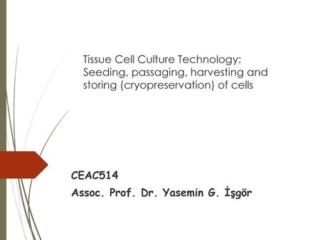 CEAC514 Assoc. Prof. Dr. Yasemin G. İşgör
