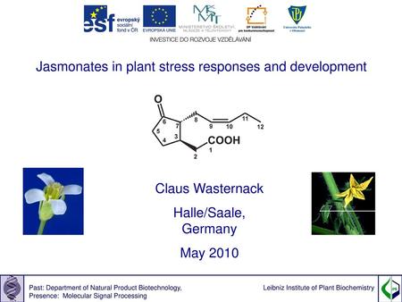 Jasmonates in plant stress responses and development