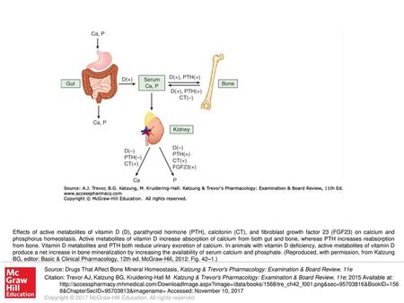 Effects of active metabolites of vitamin D (D), parathyroid hormone (PTH), calcitonin (CT), and fibroblast growth factor 23 (FGF23) on calcium and phosphorus.