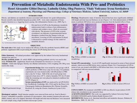 Prevention of Metabolic Endotoxemia With Pro- and Prebiotics