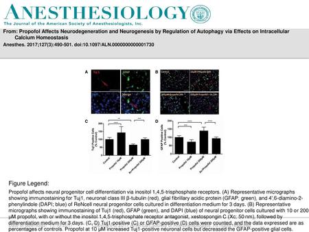 From: Propofol Affects Neurodegeneration and Neurogenesis by Regulation of Autophagy via Effects on Intracellular Calcium Homeostasis Anesthes. 2017;127(3):490-501.
