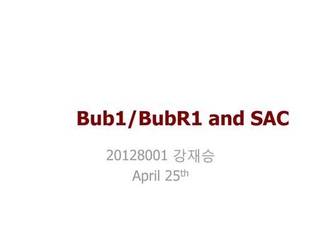 Bub1/BubR1 and SAC 20128001 강재승 April 25th.