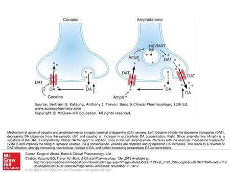 Mechanism of action of cocaine and amphetamine on synaptic terminal of dopamine (DA) neurons. Left: Cocaine inhibits the dopamine transporter (DAT), decreasing.