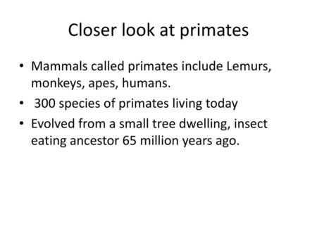 Closer look at primates
