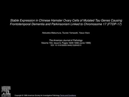 Stable Expression in Chinese Hamster Ovary Cells of Mutated Tau Genes Causing Frontotemporal Dementia and Parkinsonism Linked to Chromosome 17 (FTDP-17) 