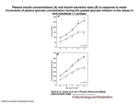 Plasma insulin concentrations (A) and insulin secretion rates (B) in response to molar increments of plasma glucose concentration during the graded glucose.