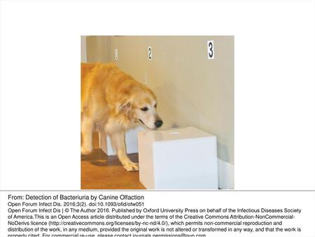 From: Detection of Bacteriuria by Canine Olfaction