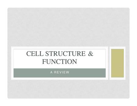 CELL STRUCTURE & FUNCTION A REVIEW.